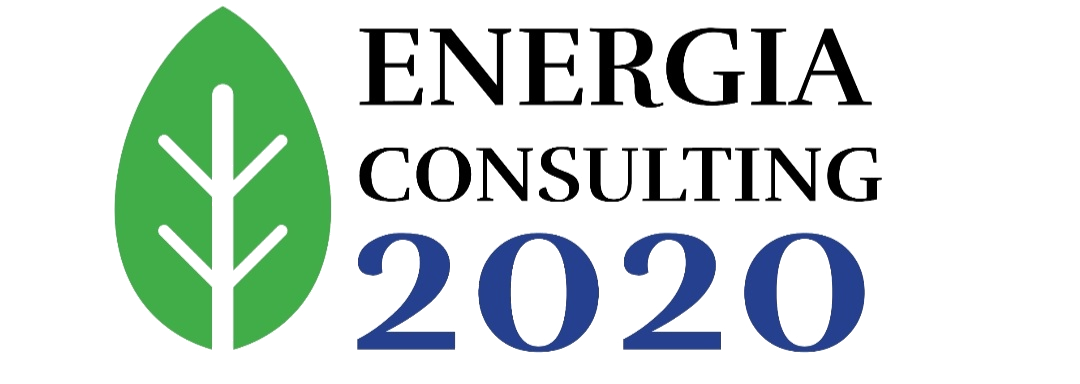Energia Consulting 2020